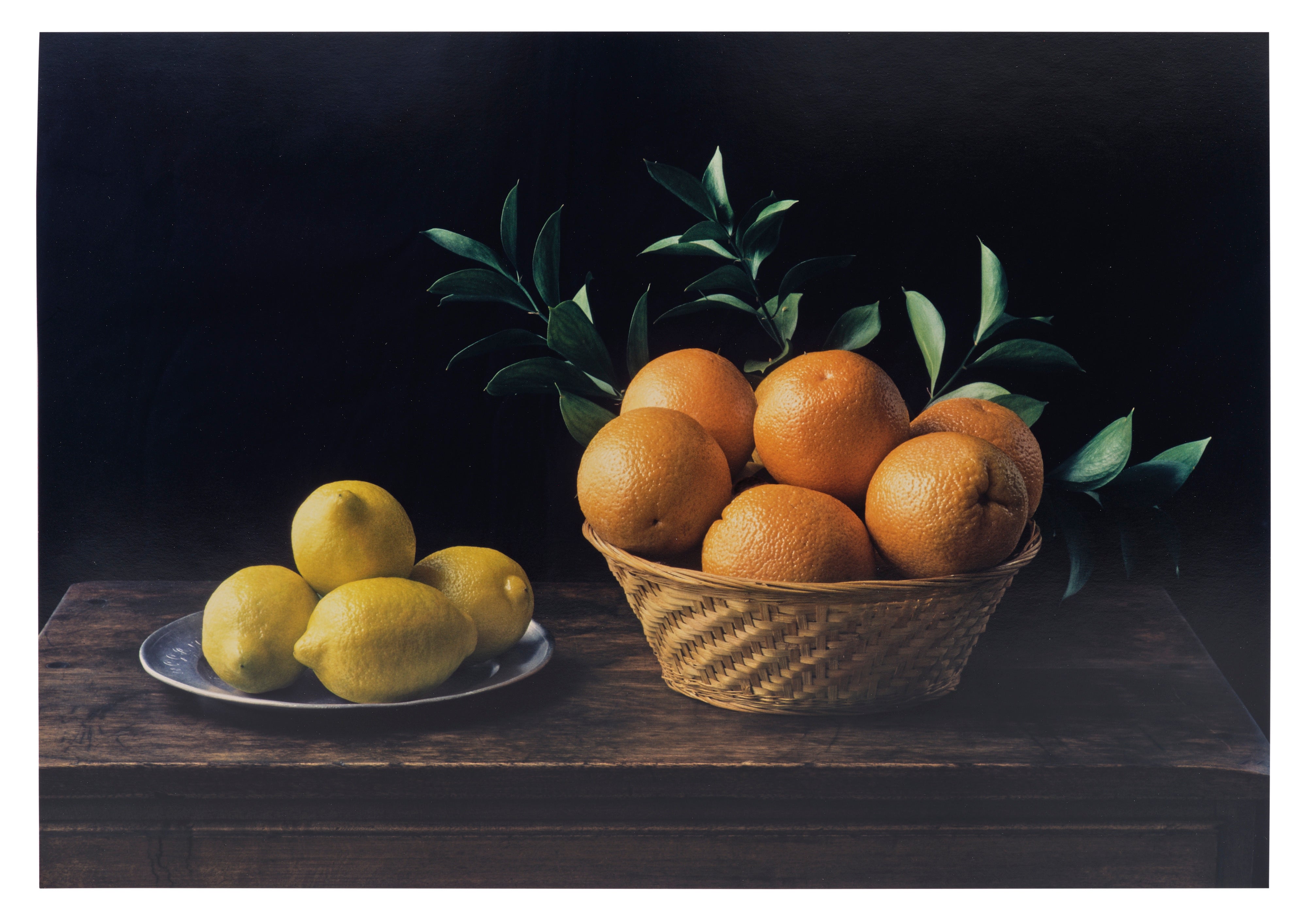 Still Life No. 6, Homage à Zurburán, New York