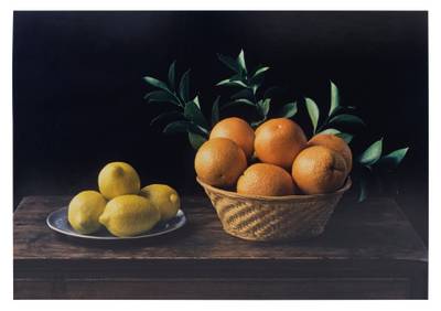 Still Life No. 6, Homage à Zurburán, New York