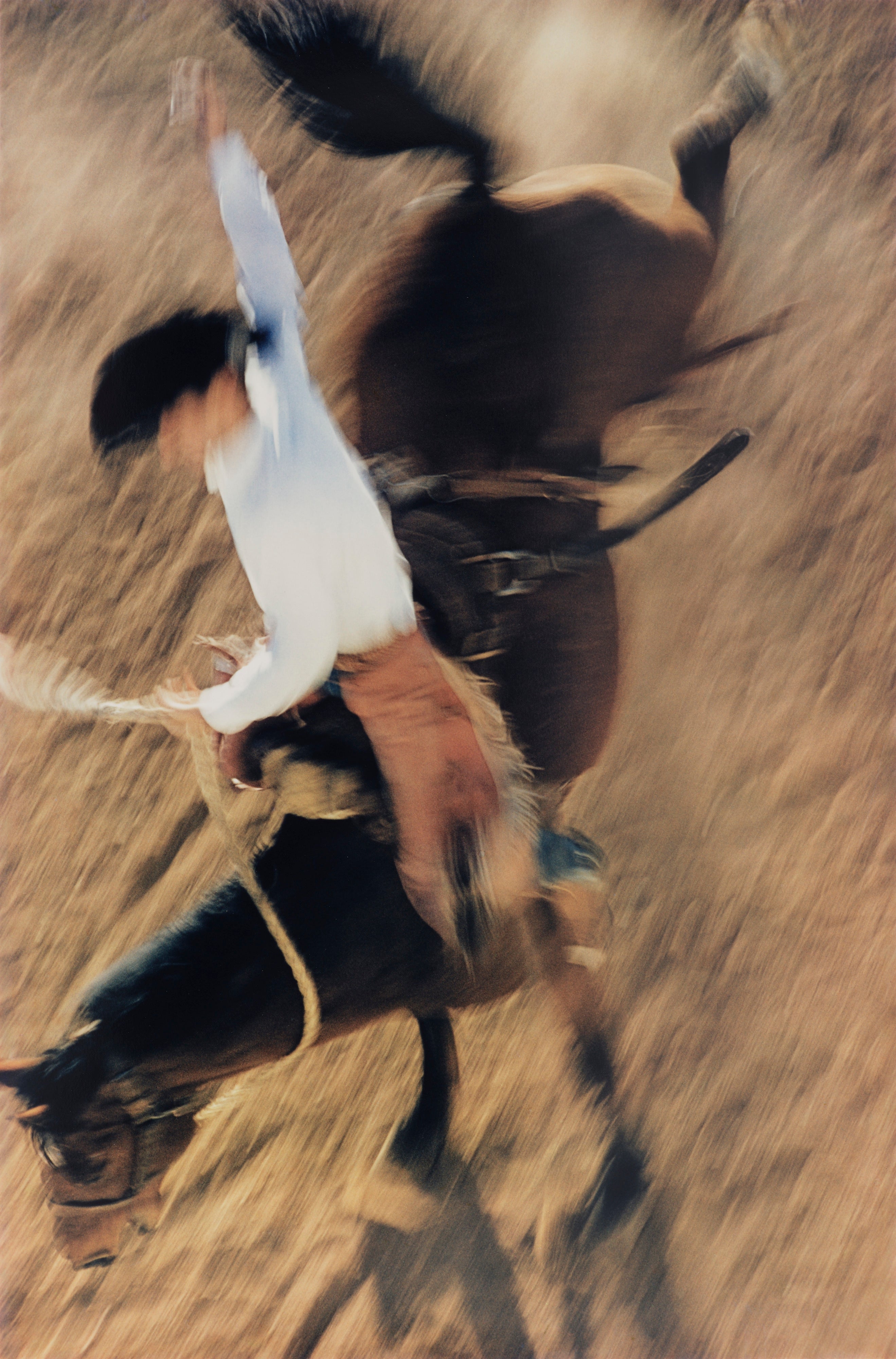 Bronco Rider, California