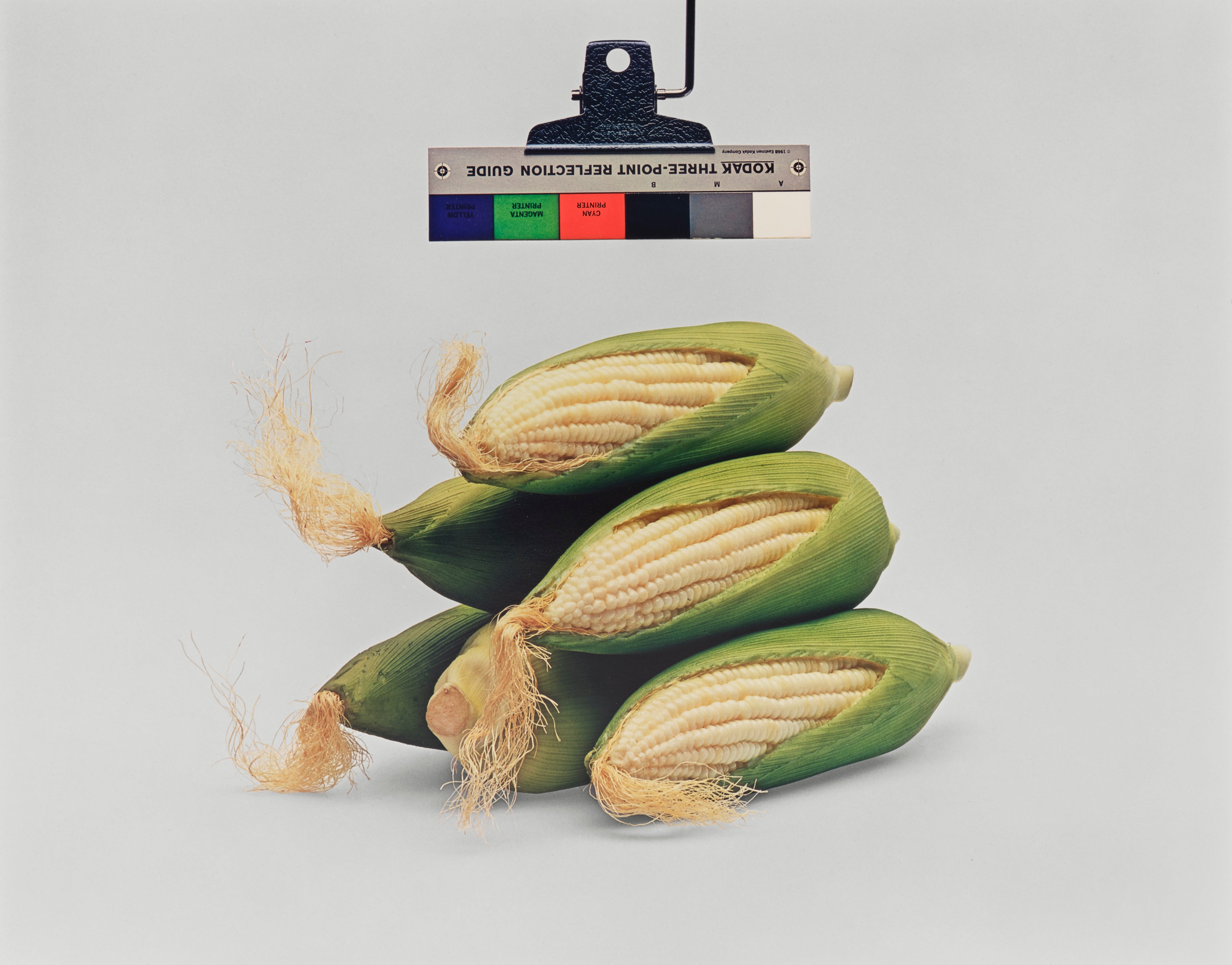 Kodak Three Point Reflection Guide © 1968, Eastman Kodak Company, 1968. (Corn) Photography by the Douglas M. Parker Studio, Glendale, California, April 17