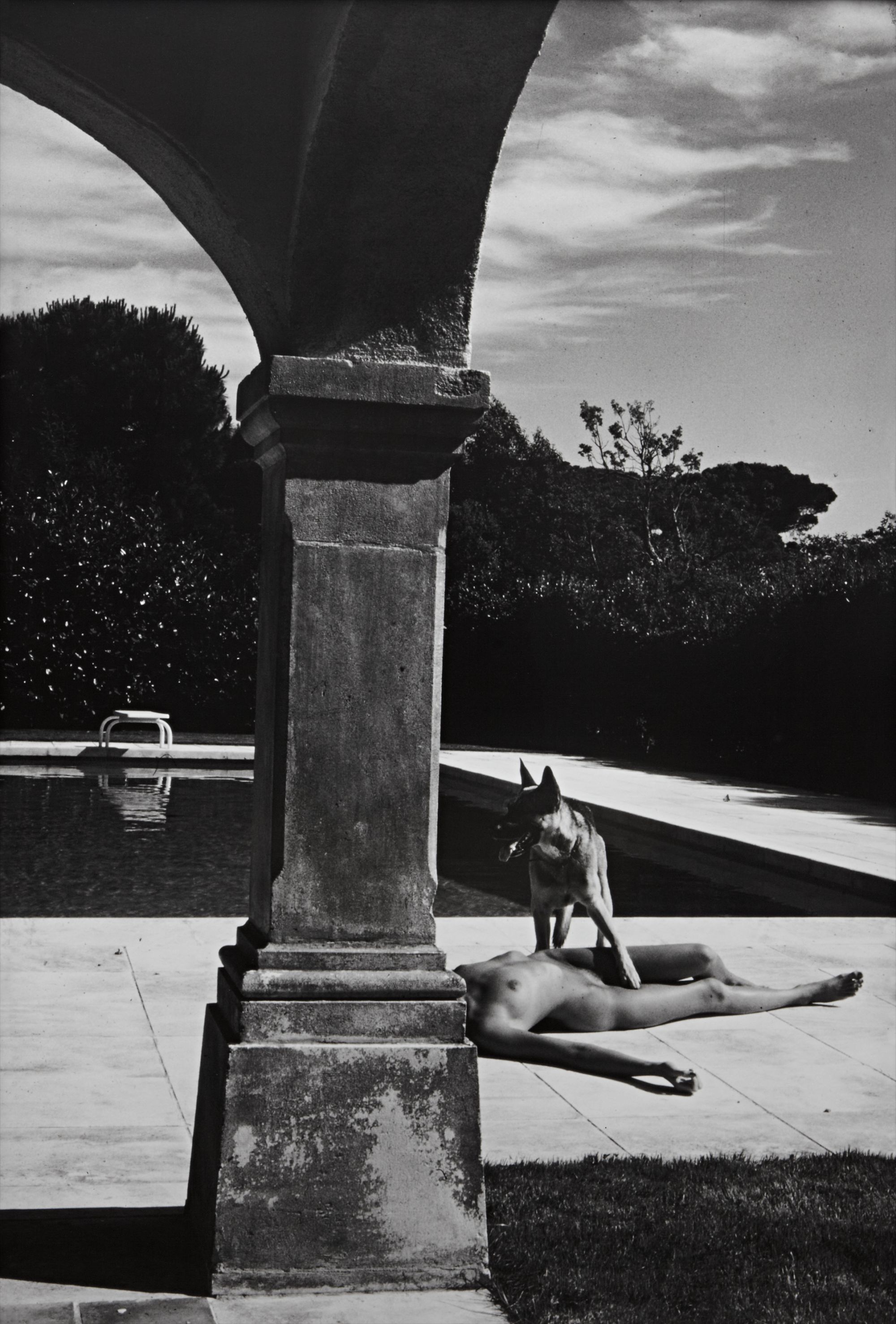 Helmut Newton — Nude and Police Dog, St. Tropez