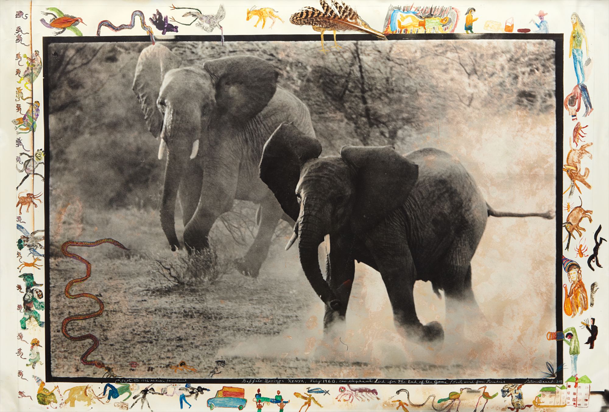 Peter Beard — Buffalo Springs, Kenya, July