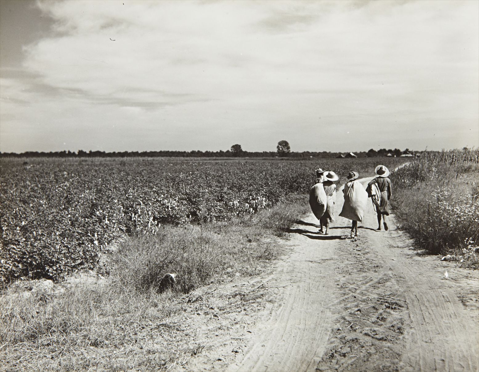 Marion Post Wolcott — Cotton pickers with bags of cotton on their backs, Mileston Plantation, Mississippi Delta, Mississippi
