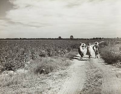 Cotton pickers with bags of cotton on their backs, Mileston Plantation, Mississippi Delta, Mississippi