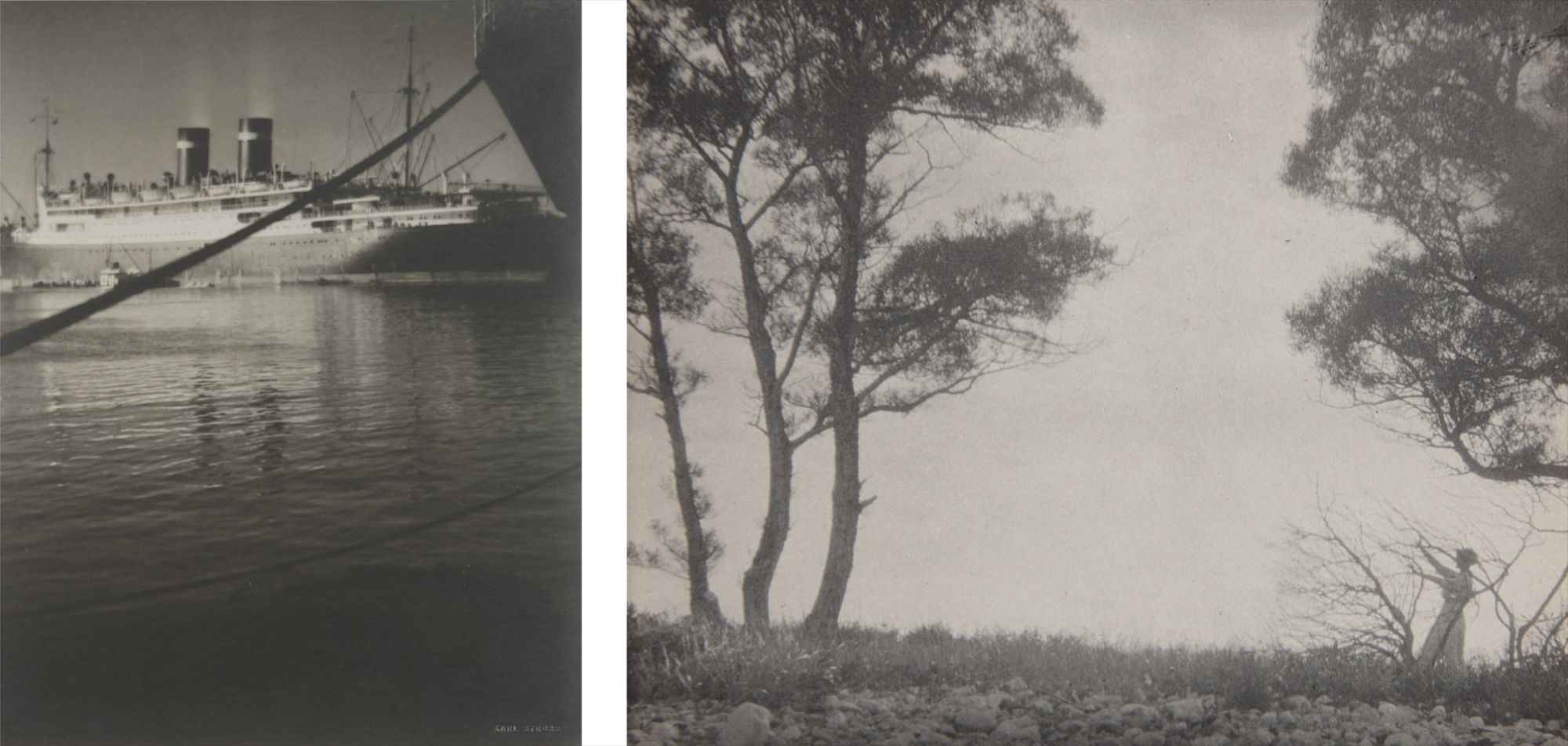 Karl Struss — Karl Struss