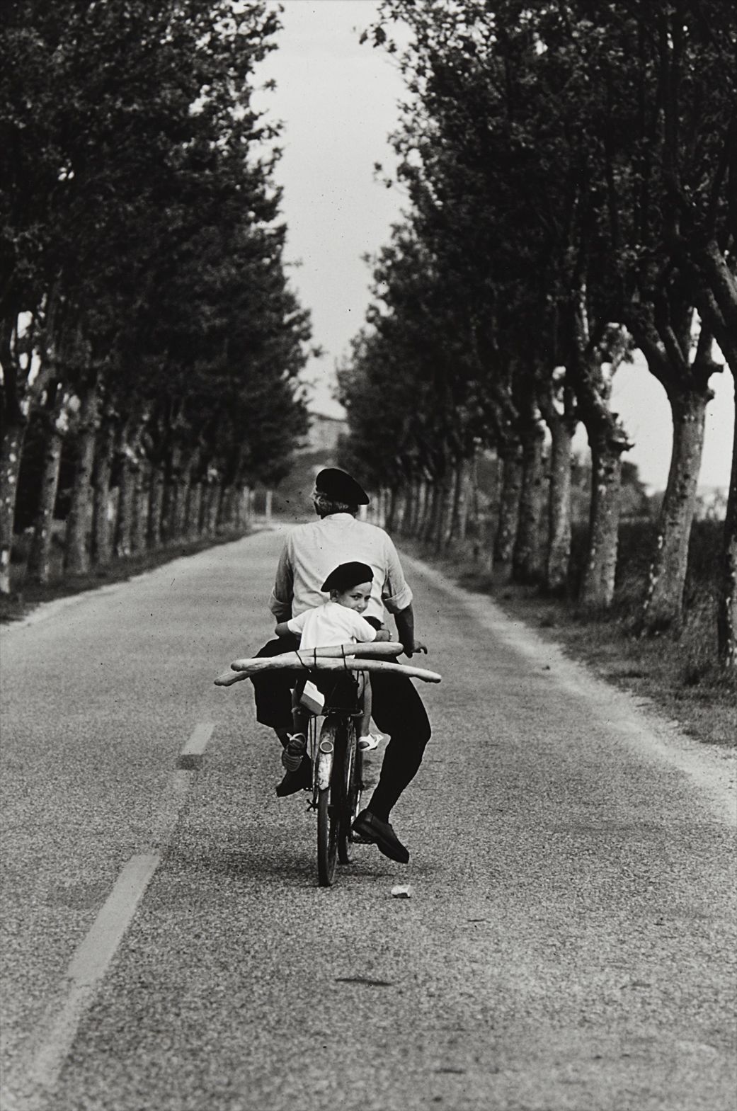 Elliott Erwitt — Provence, France