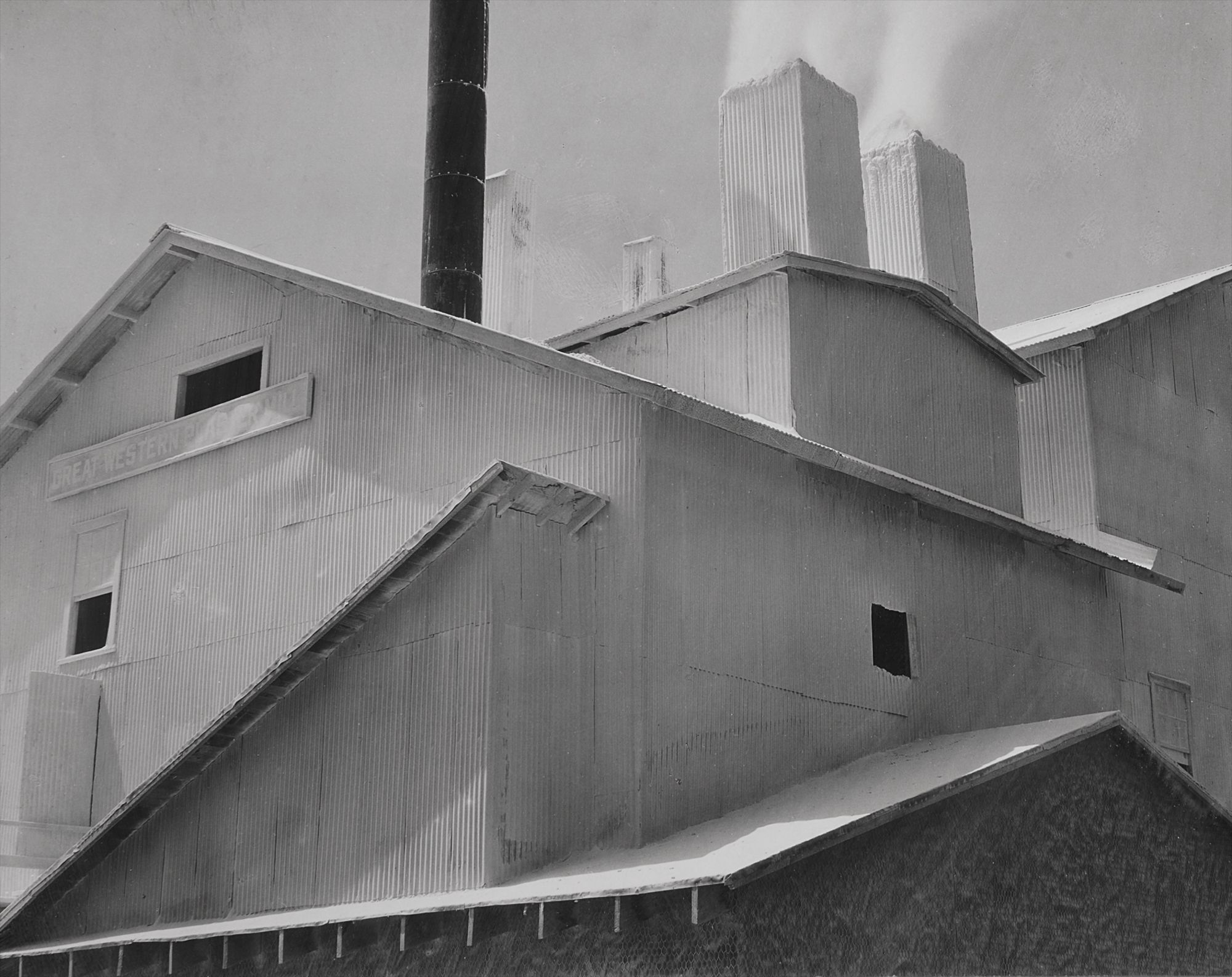 Edward Weston — Edward Weston