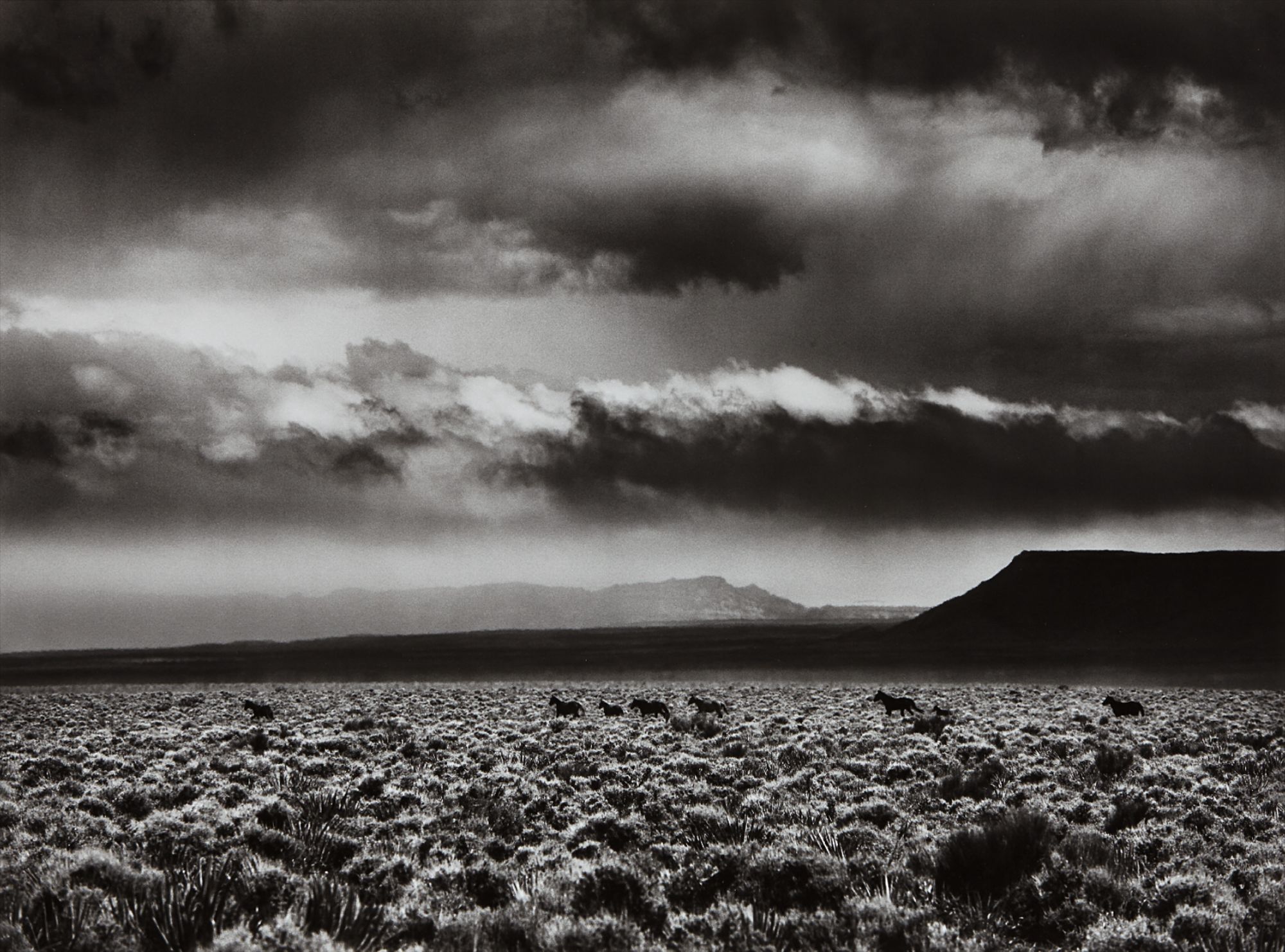 Sebastião Salgado — Arizona, USA