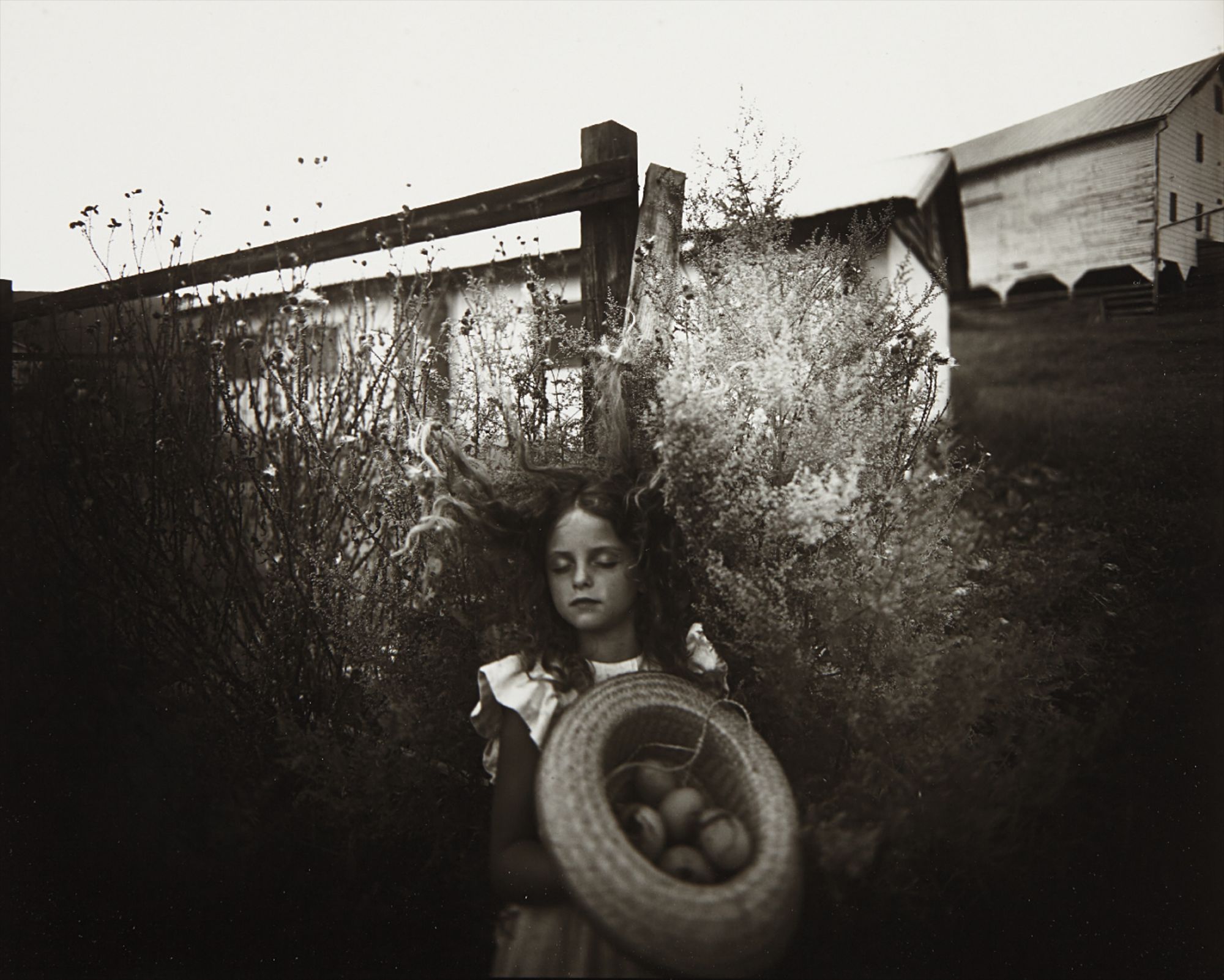 Sally Mann — Yard Eggs