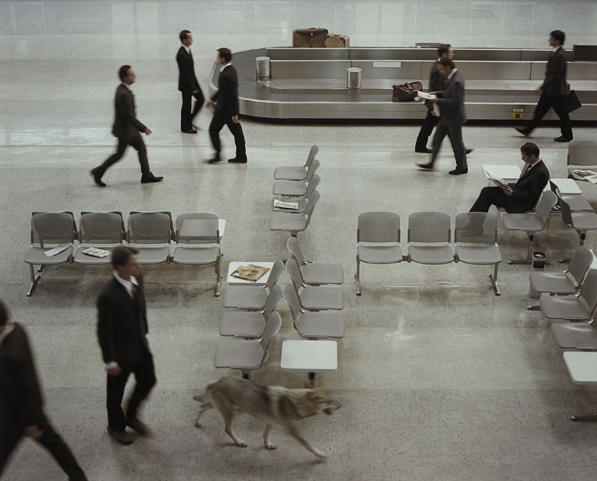 The Wolf in Tempelhoff from The Rape of the Sabine Women