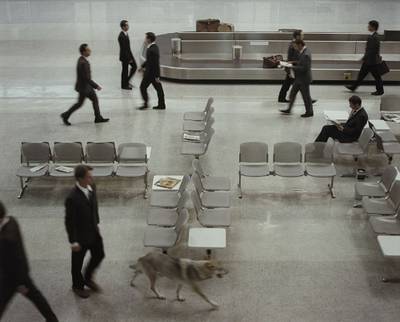 The Wolf in Tempelhoff from The Rape of the Sabine Women