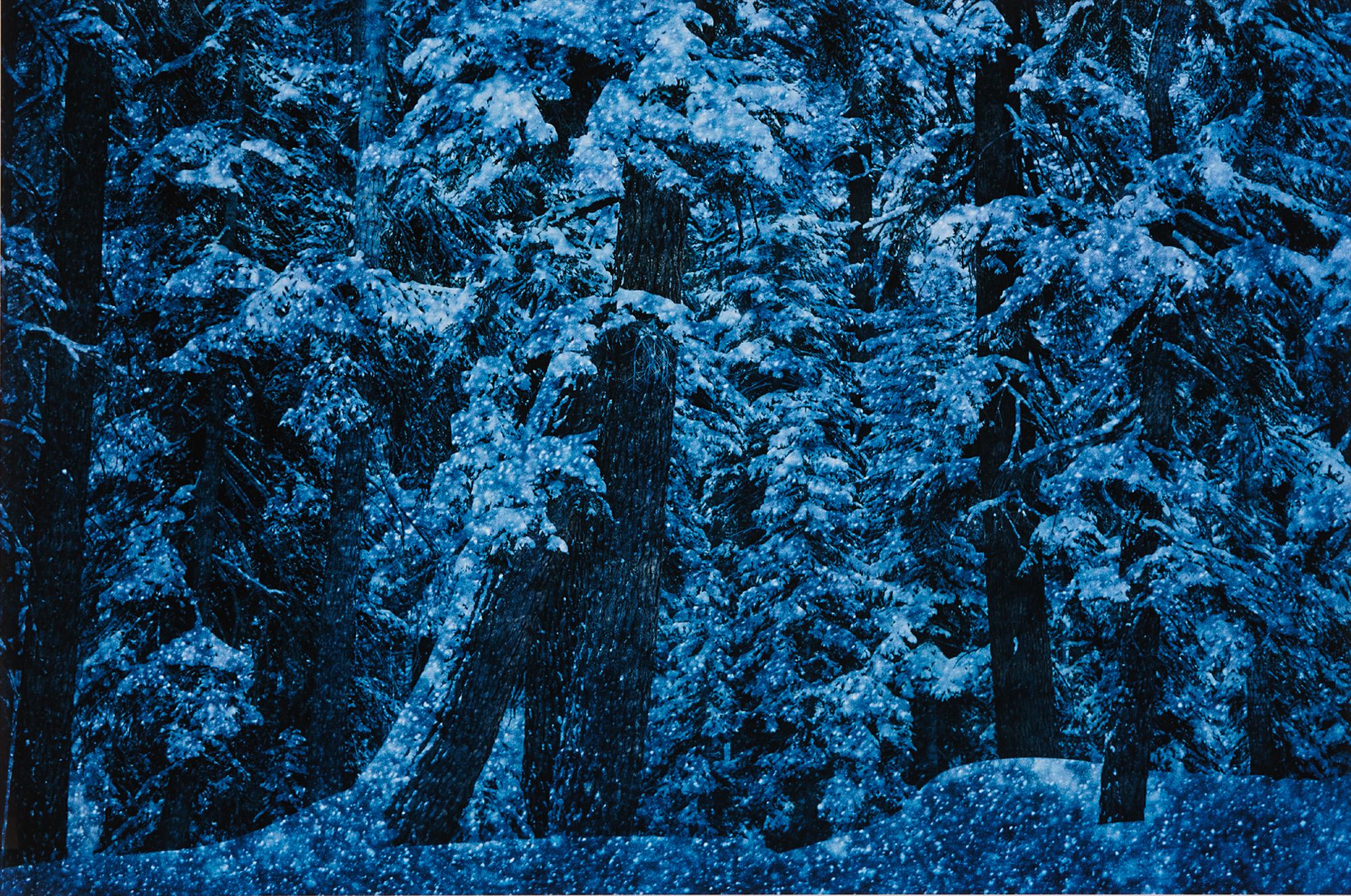Ernst Haas — Blue Winter, Yosemite National Park, CA