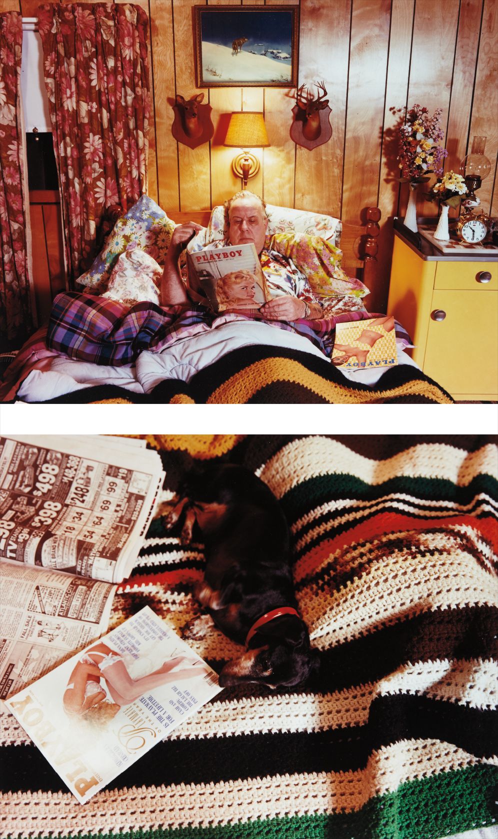 The Lone Wolf from the Dad series