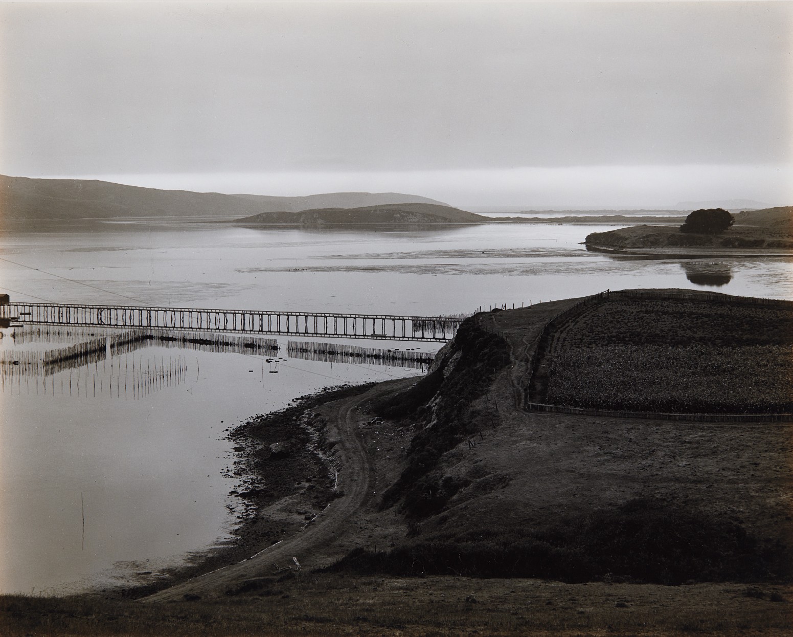 Edward Weston — The Harbor, Tamales Bay