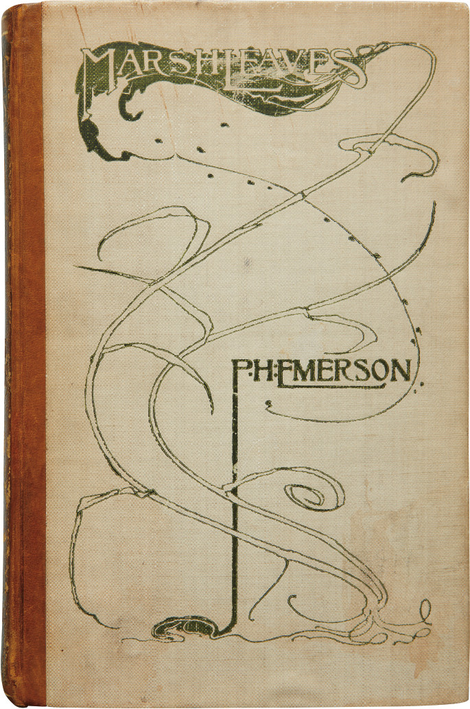 Peter Henry Emerson — Marsh Leaves