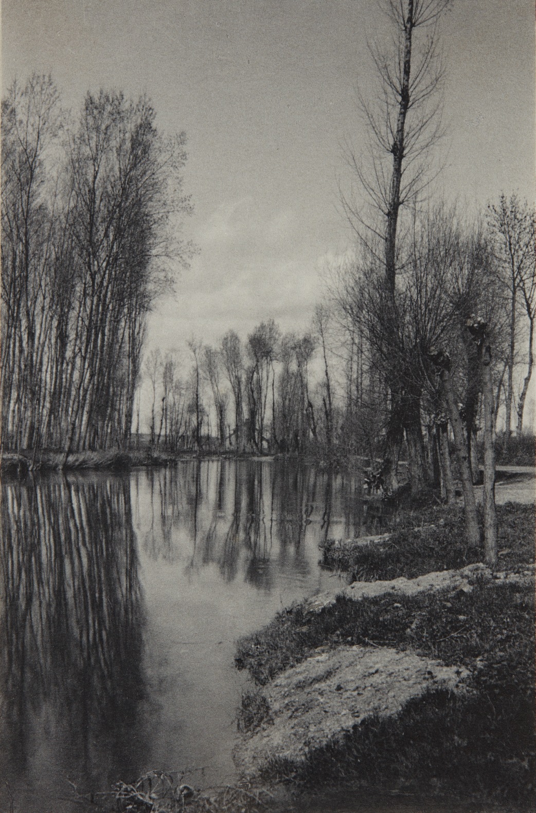 Crépuscule au Printemps