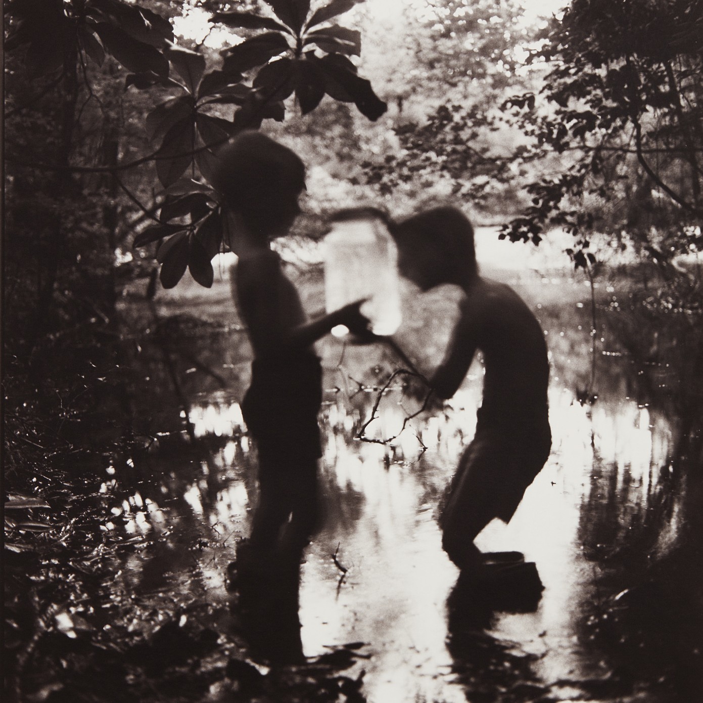 Keith Carter — Fireflies