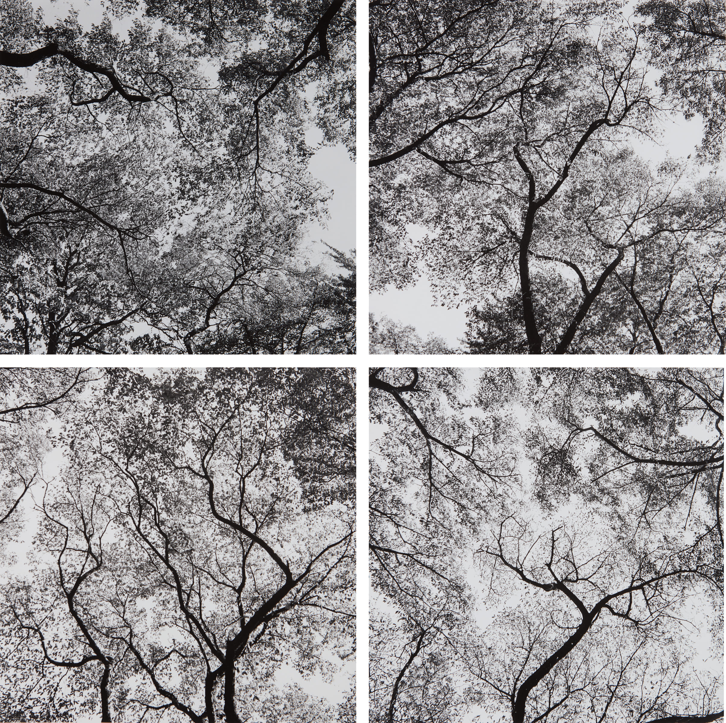 Harry Callahan — Ansley Park, Atlanta