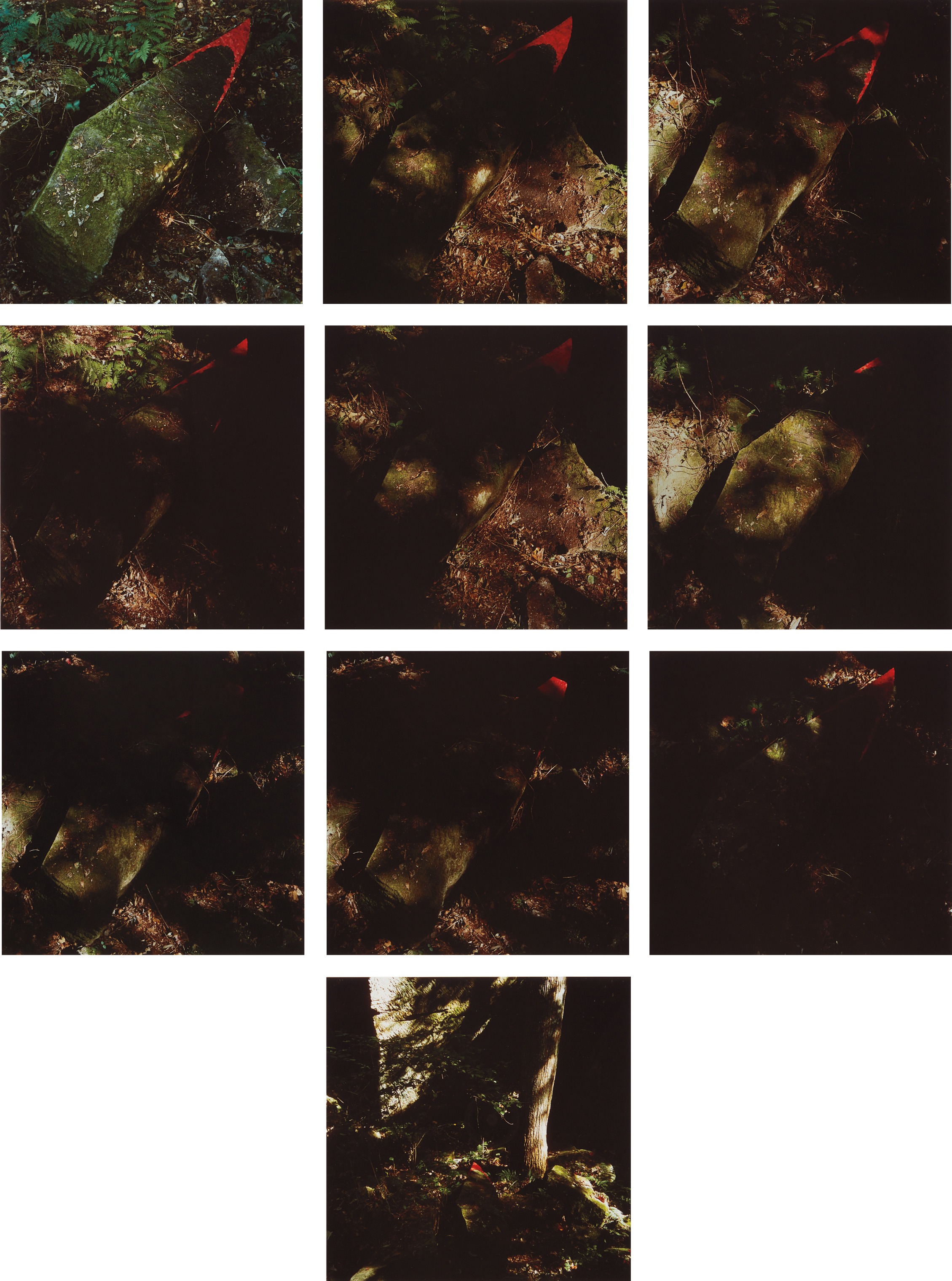 Red Leaves/Difficult to Find/Held with Water/To the Tip of a Quarried Stone/Government Island, Virginia October 13