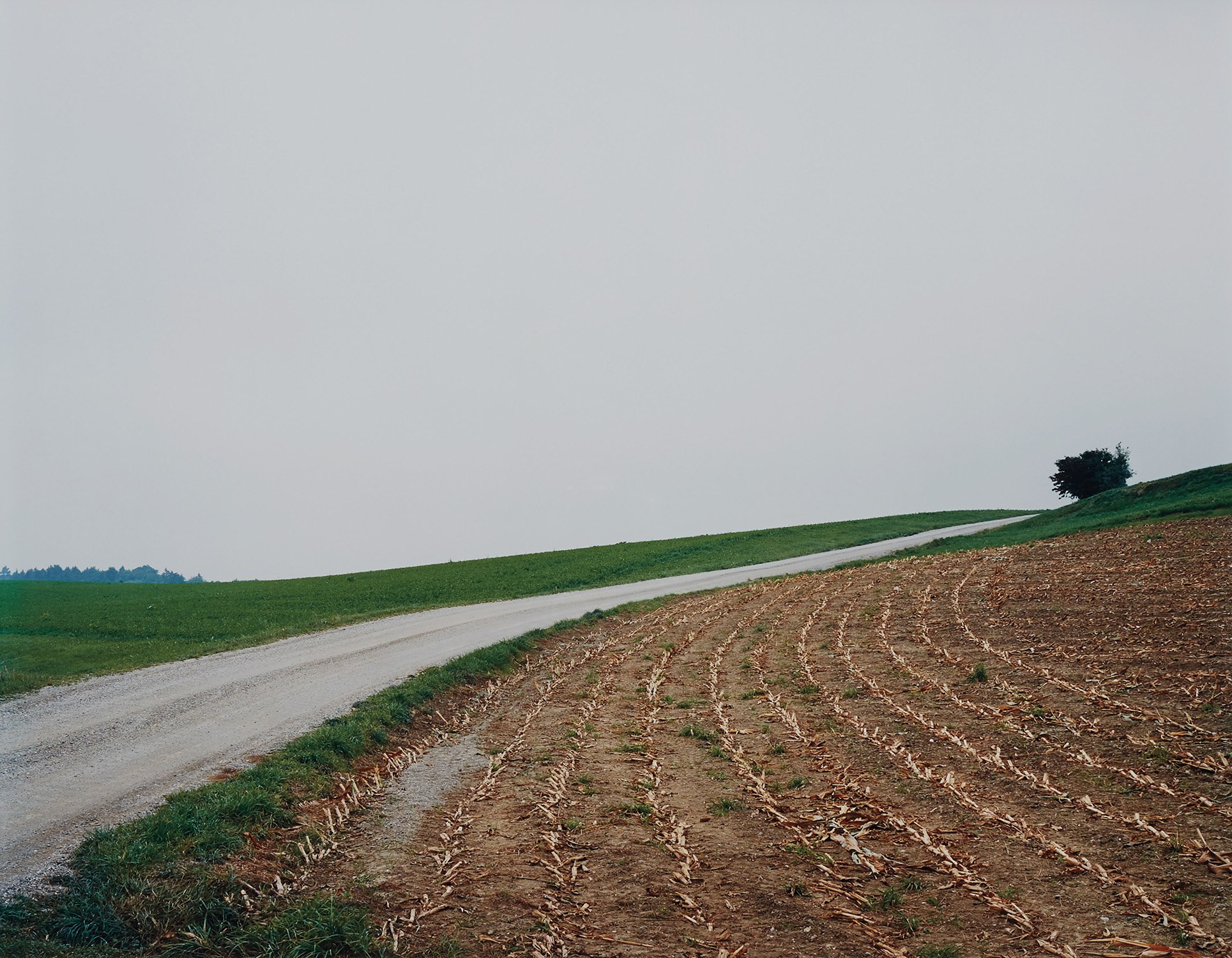 Thomas Struth — Mais-Acker, No. 22, Winterthur