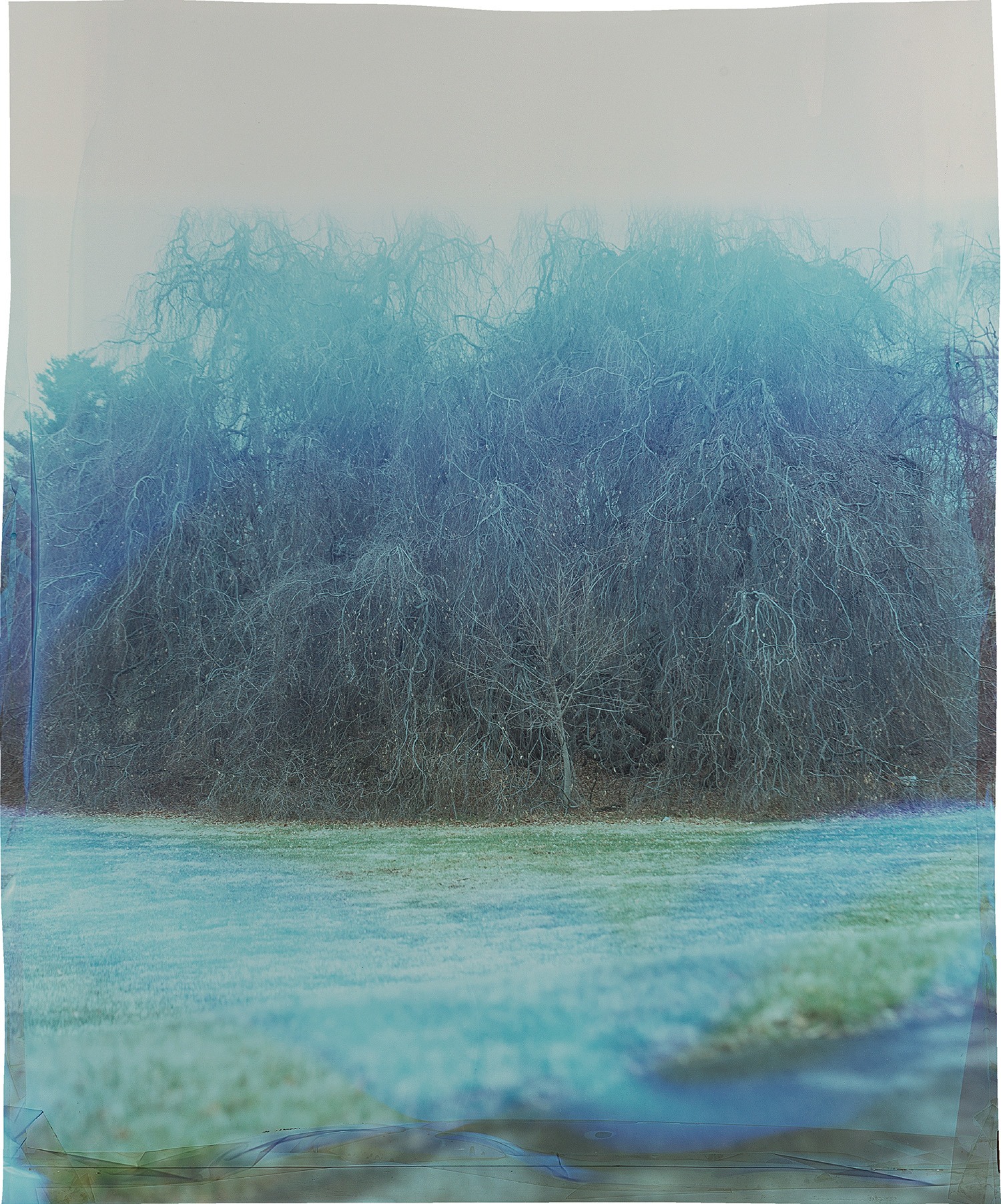 Wolcott at Craig House