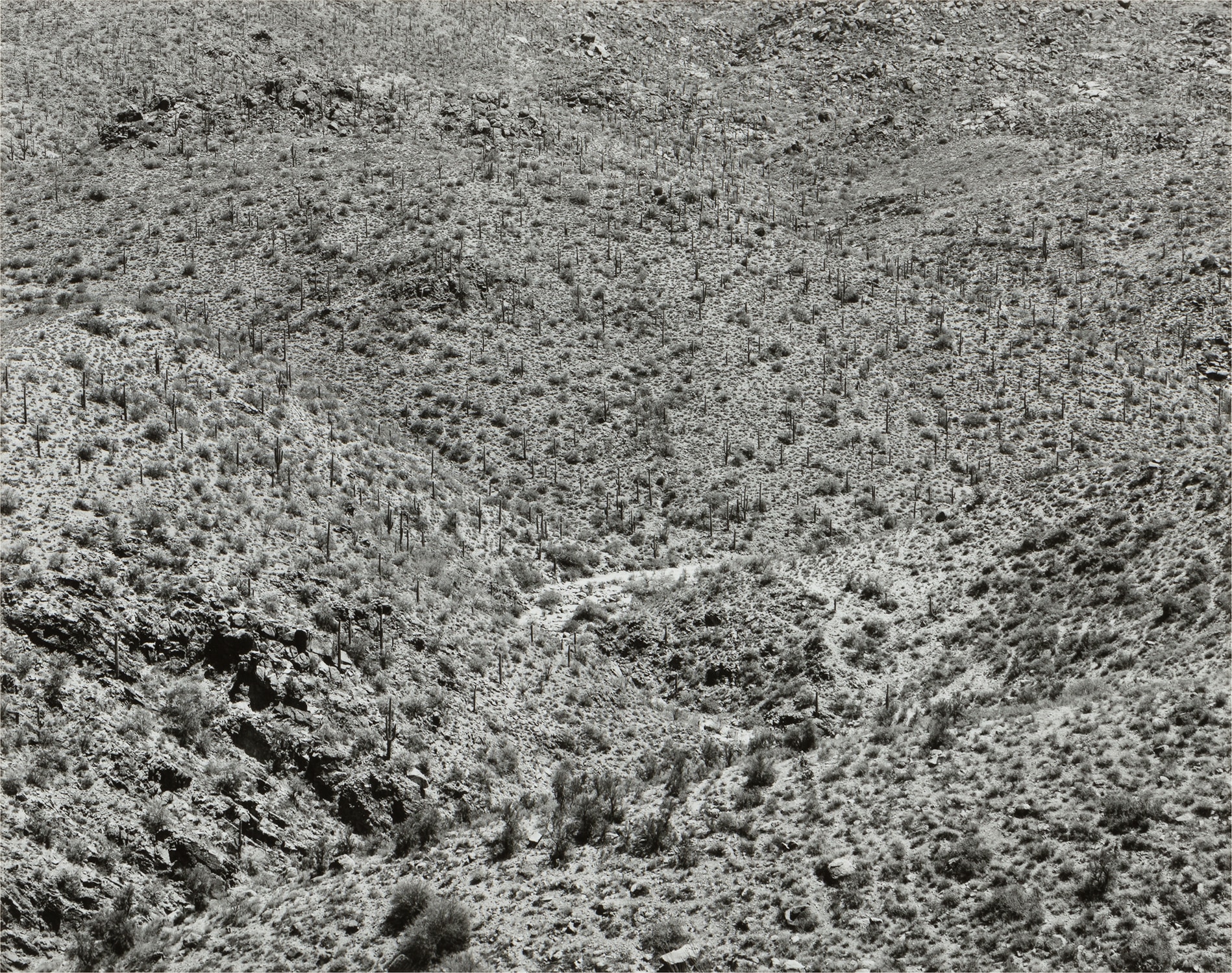 Frederick Sommer — Arizona Landscape (Bagdad)