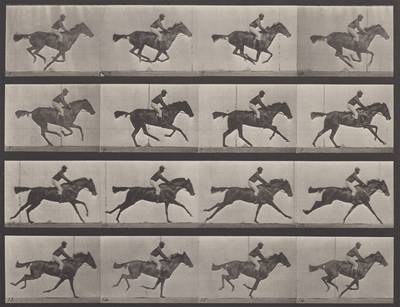 Motion Study, Horse and Rider