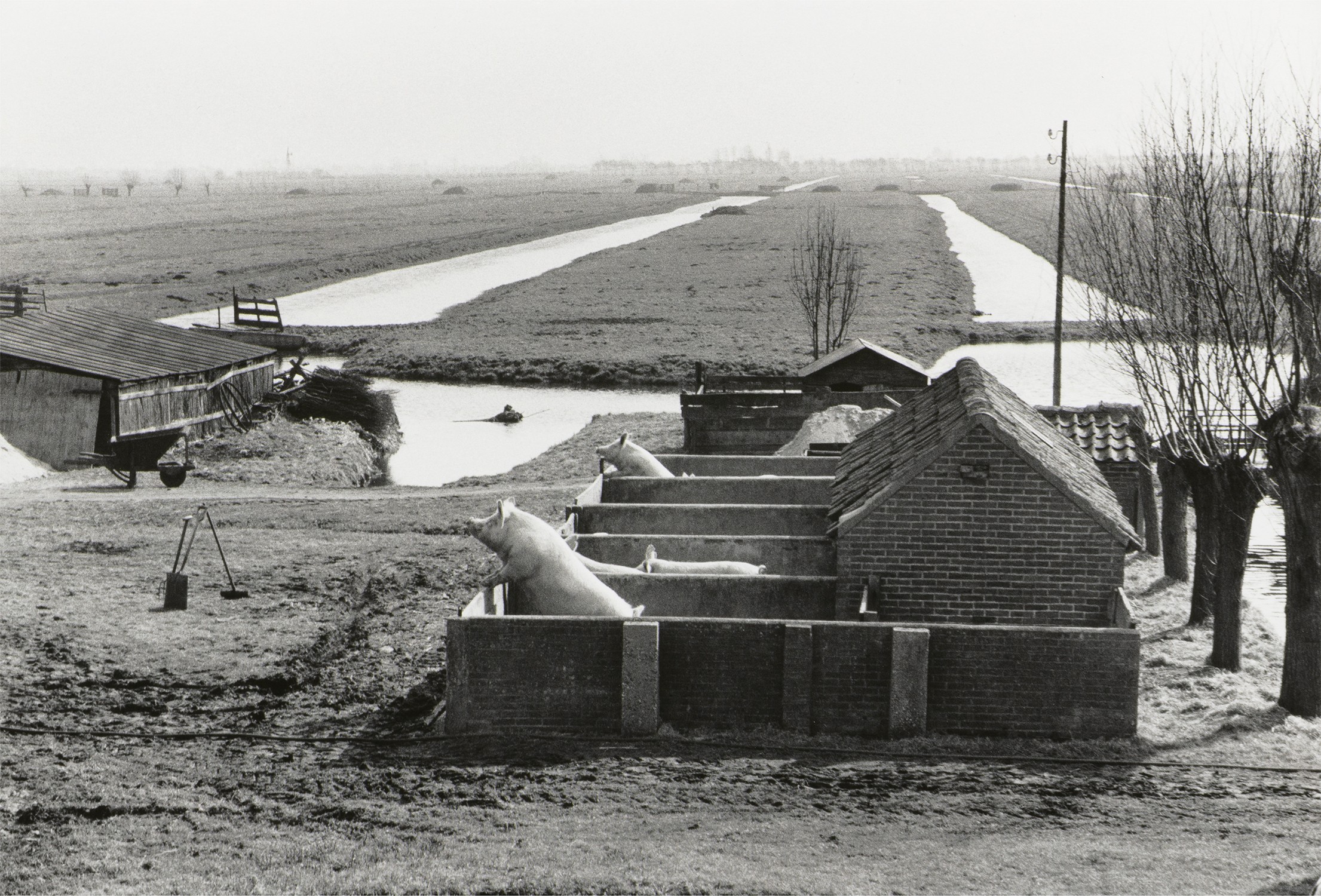 Henri Cartier-Bresson — Holland