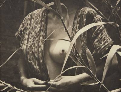 Fruta prohibida (Forbidden fruit)