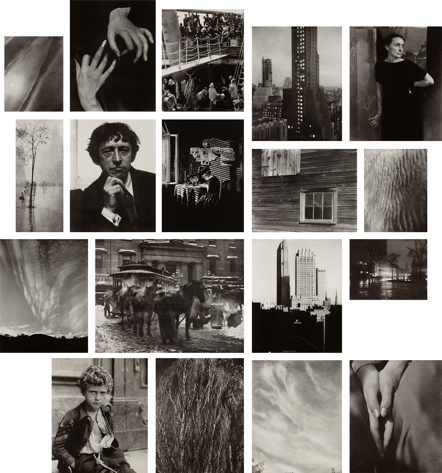 Stieglitz Memorial Portfolio