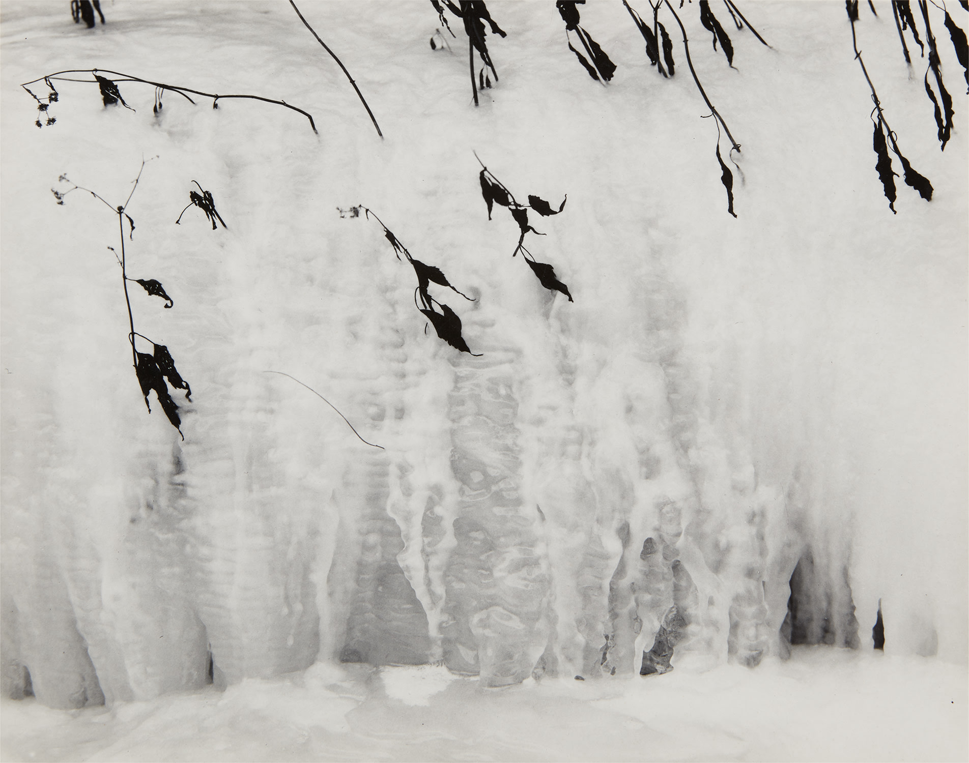 Ice and Twigs, Stony Brook State Park, New York