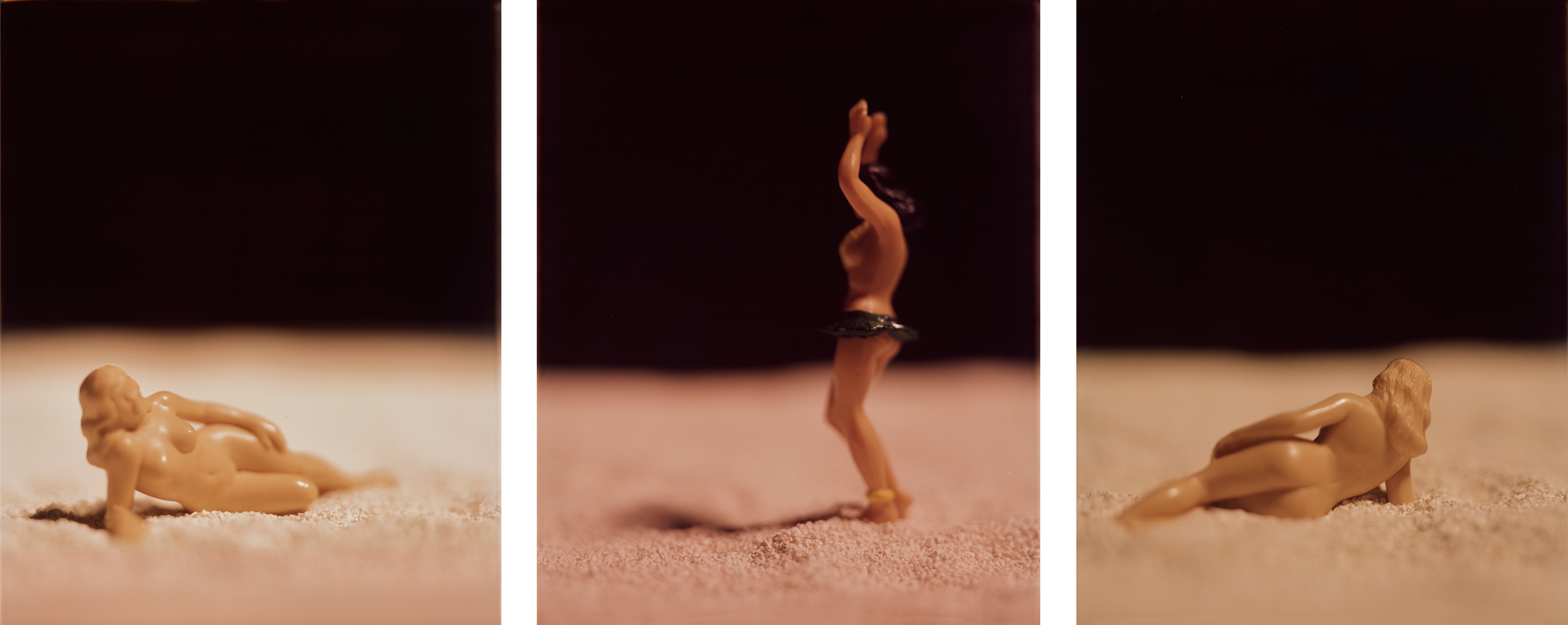 Selected Images from American Beauties