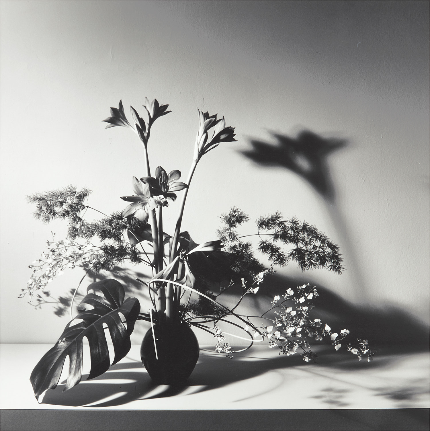 Robert Mapplethorpe — Still Life