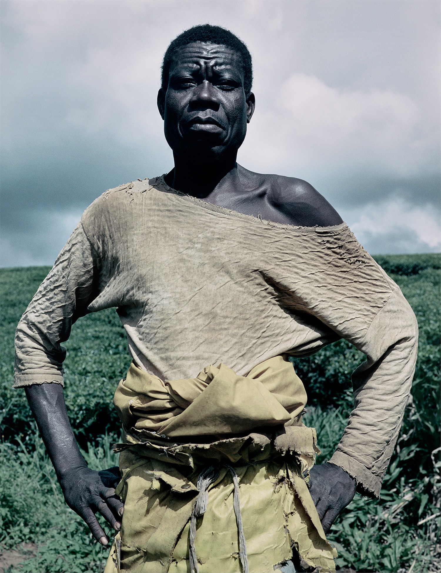 Paul II, Tea Pruner, Malawi