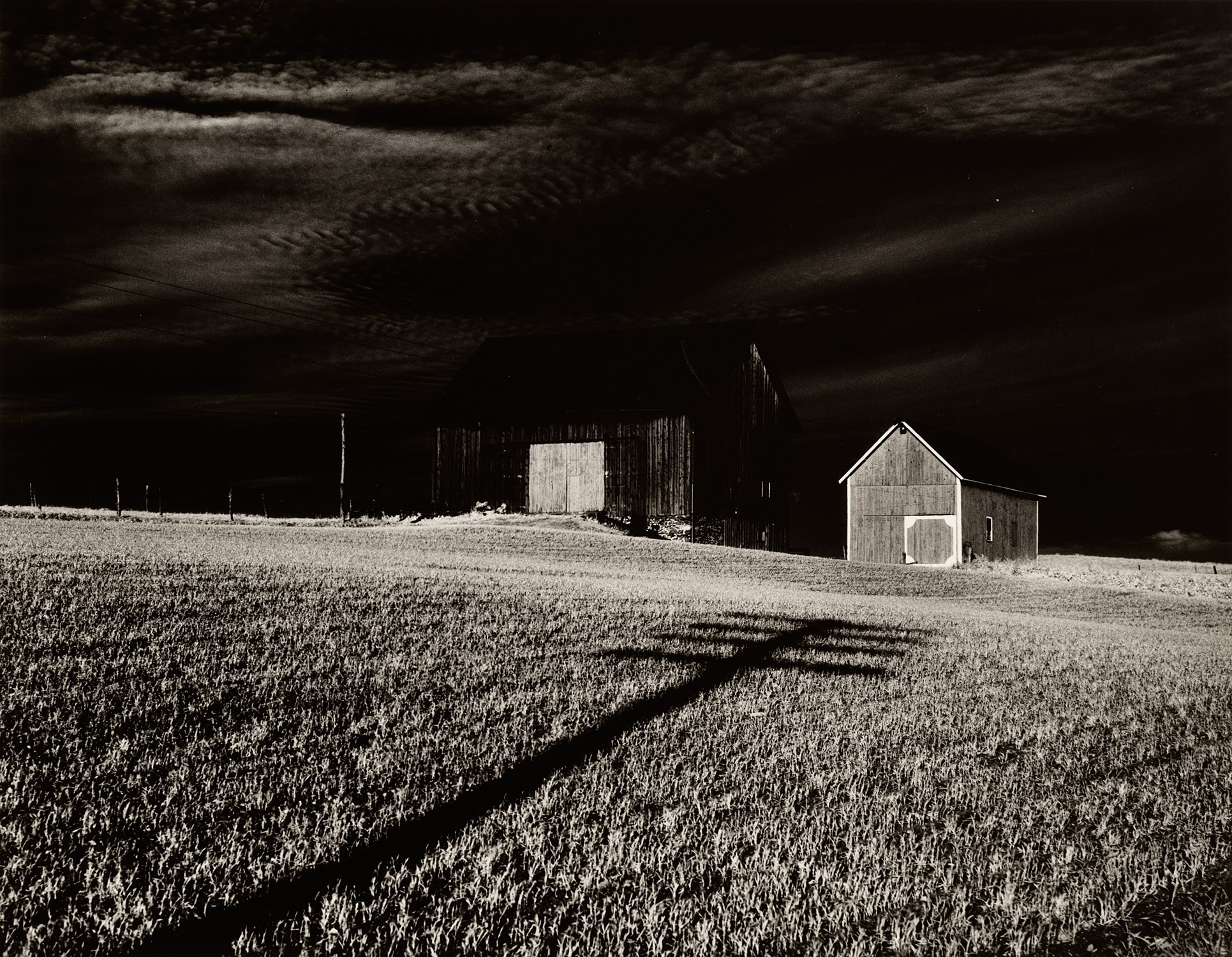 Minor White — Two Barns and Shadow, Vicinity of Dansville, New York