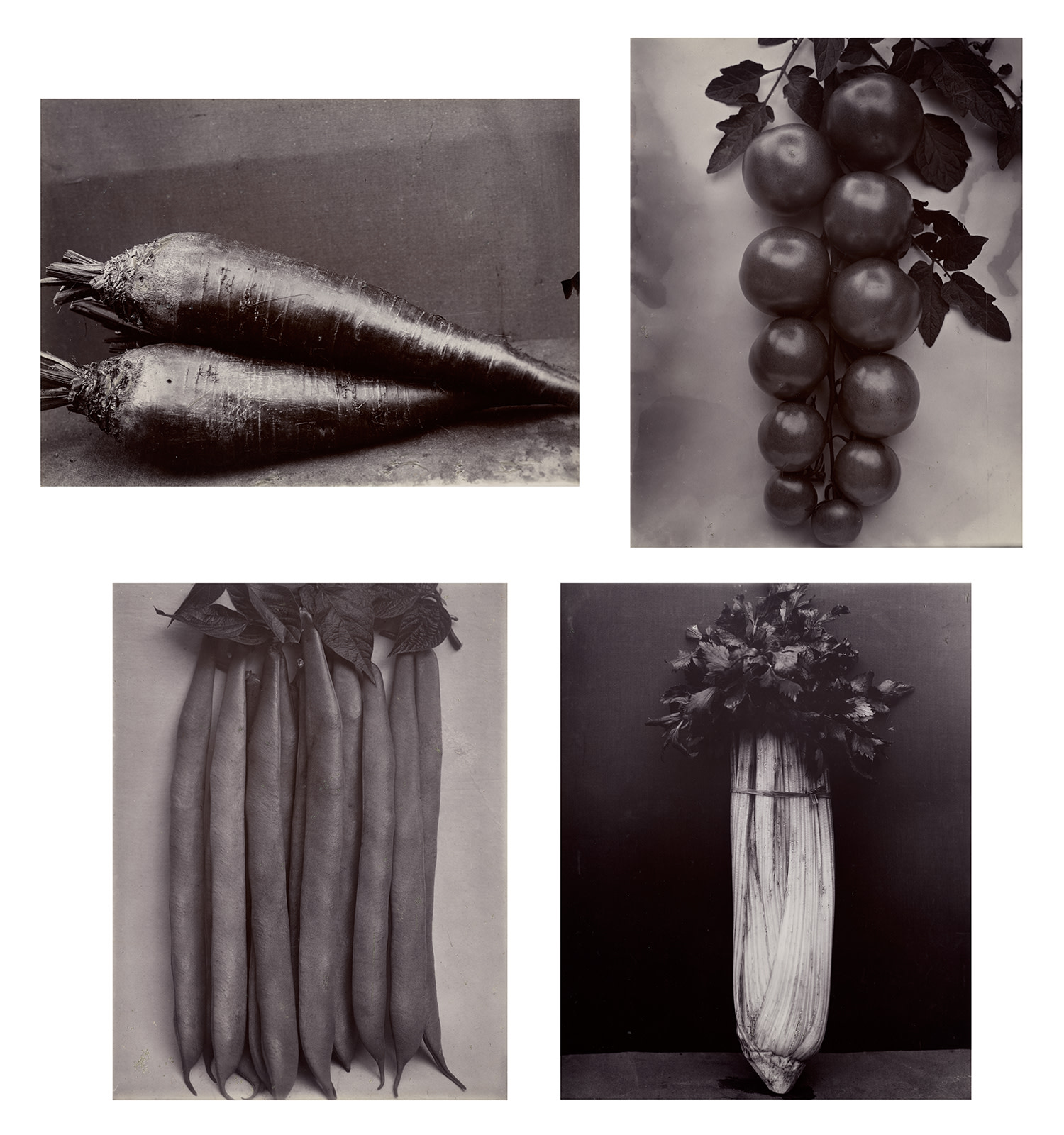 Charles Jones — Selected Studies of Fruits and Vegetables