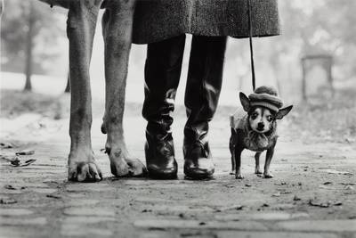Dog Legs, New York City