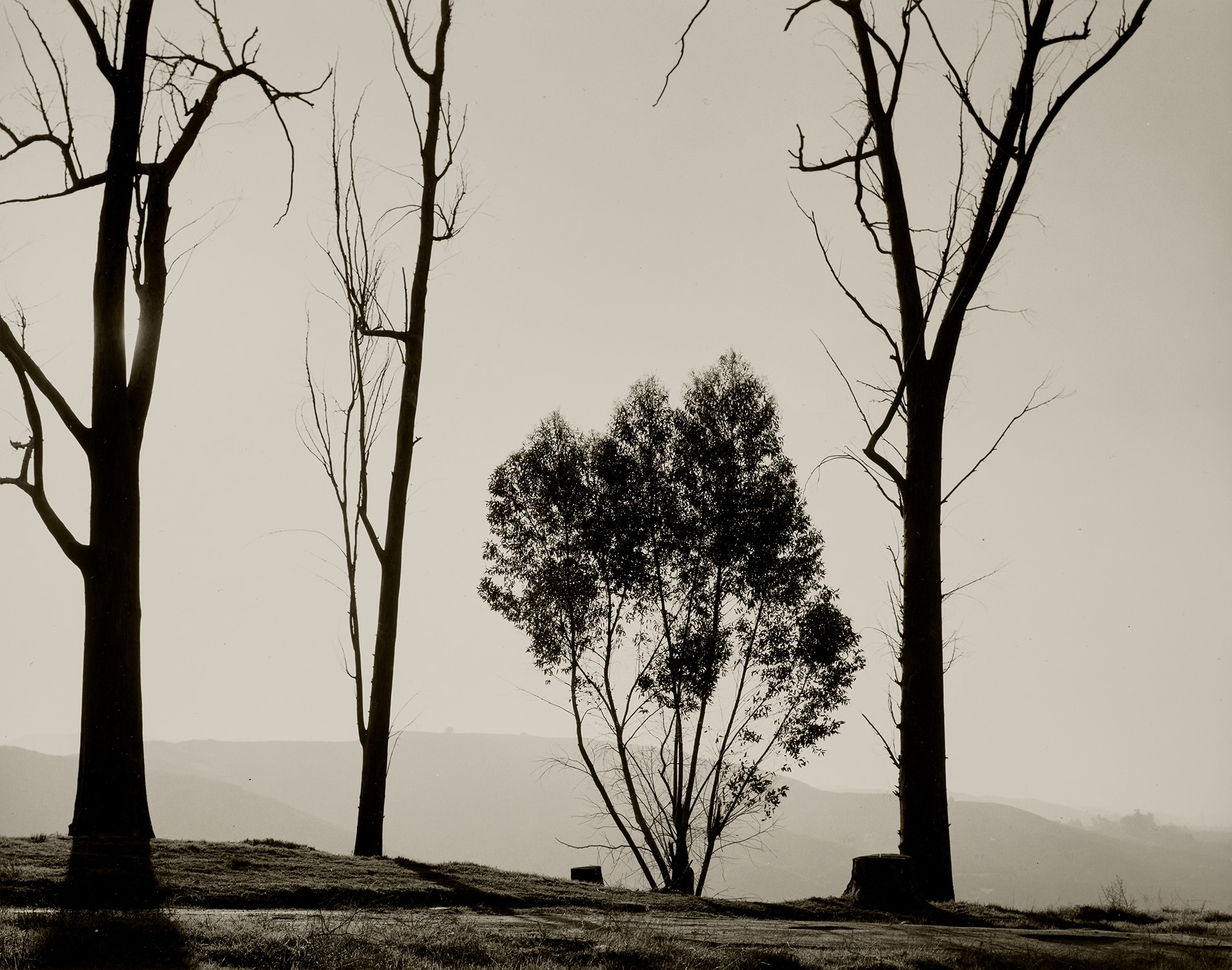 Robert Adams — Edge of San Timoteo Canyon, Redlands, California