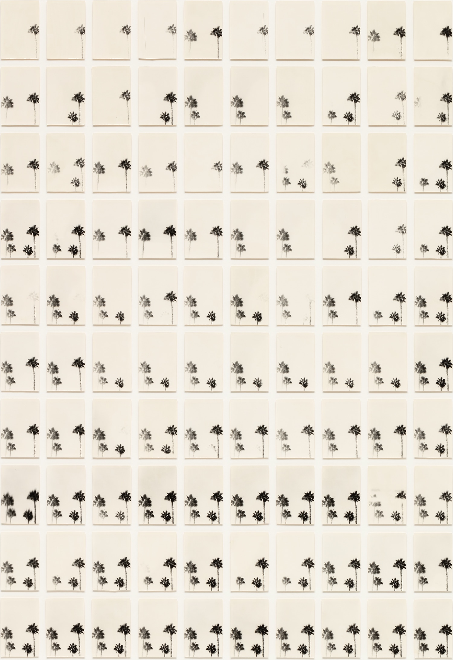 Bruno V. Roels — A Palm Tree Is A Palm Tree Is A Palm Tree (On/Off)