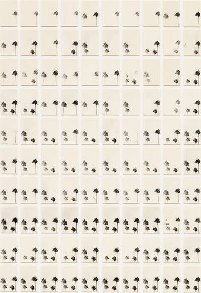 A Palm Tree Is A Palm Tree Is A Palm Tree (On/Off)