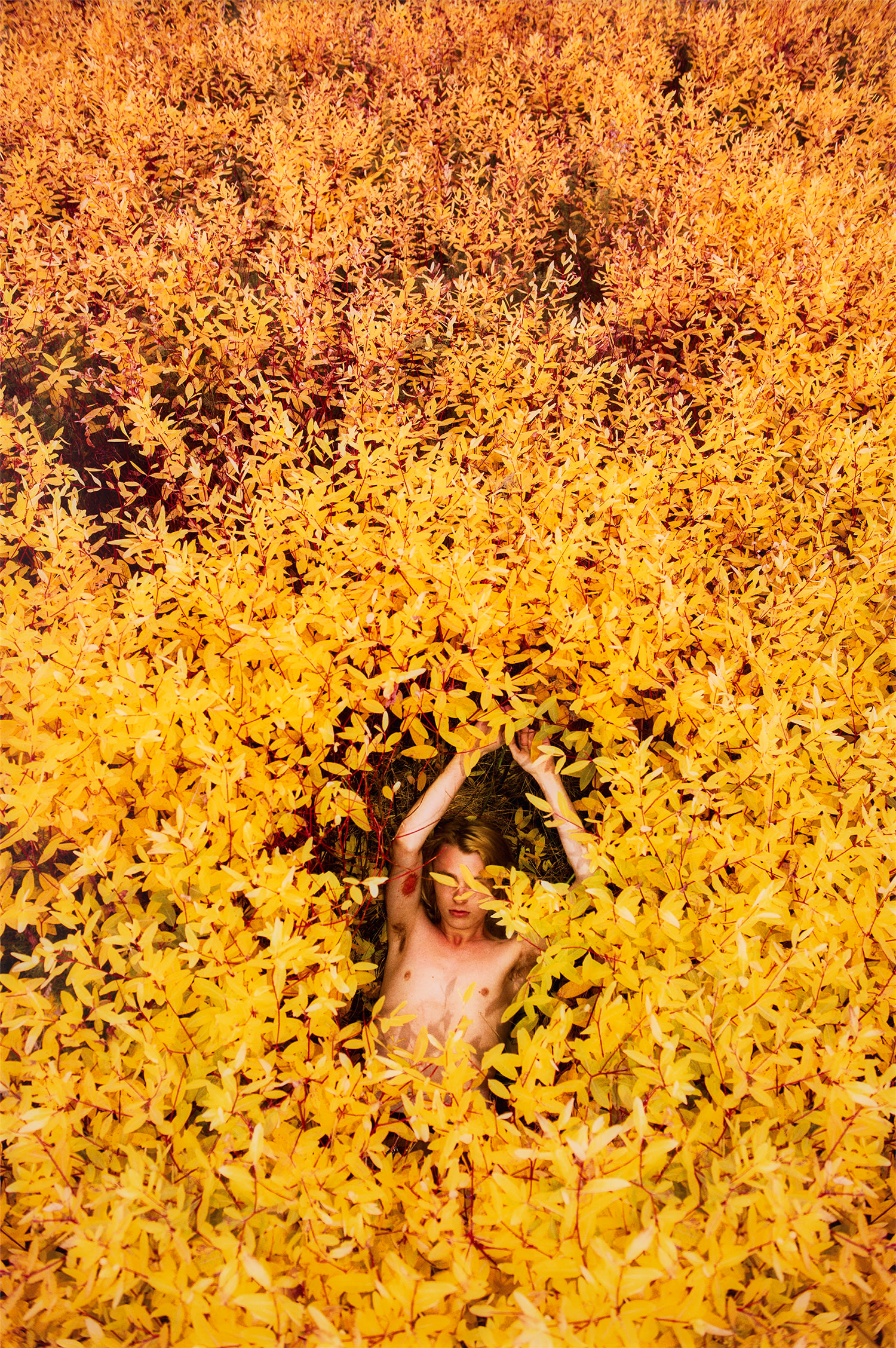 Ryan McGinley — Dogbane (Split)