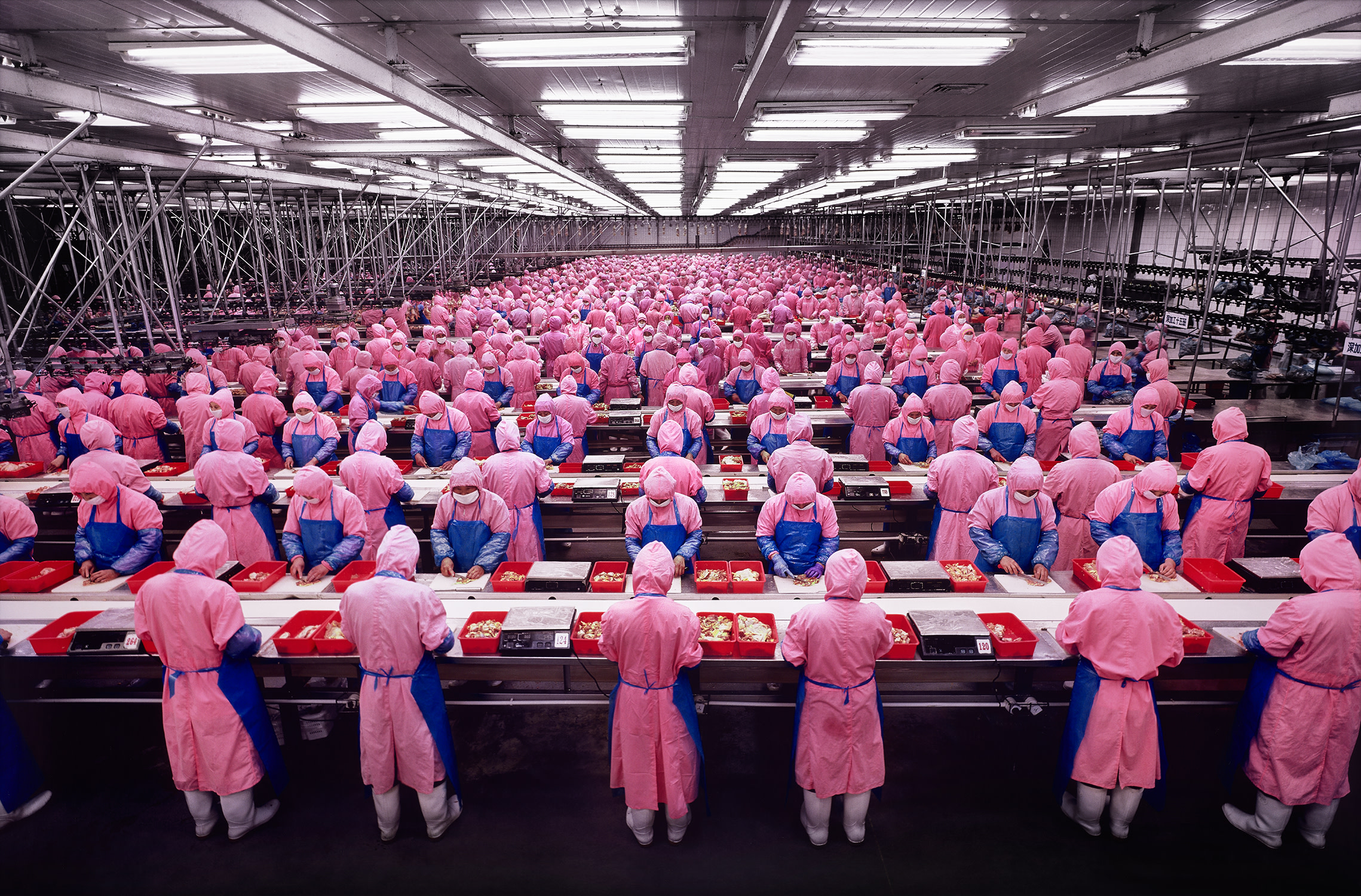 Manufacturing #17, Deda Chicken Processing Plant, Dehui City, Jilin, Province, China