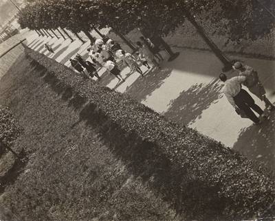 The Central Park Of Culture And Leisure, Alley