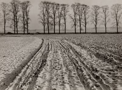 Winter Landscape Near Kaiserwerth