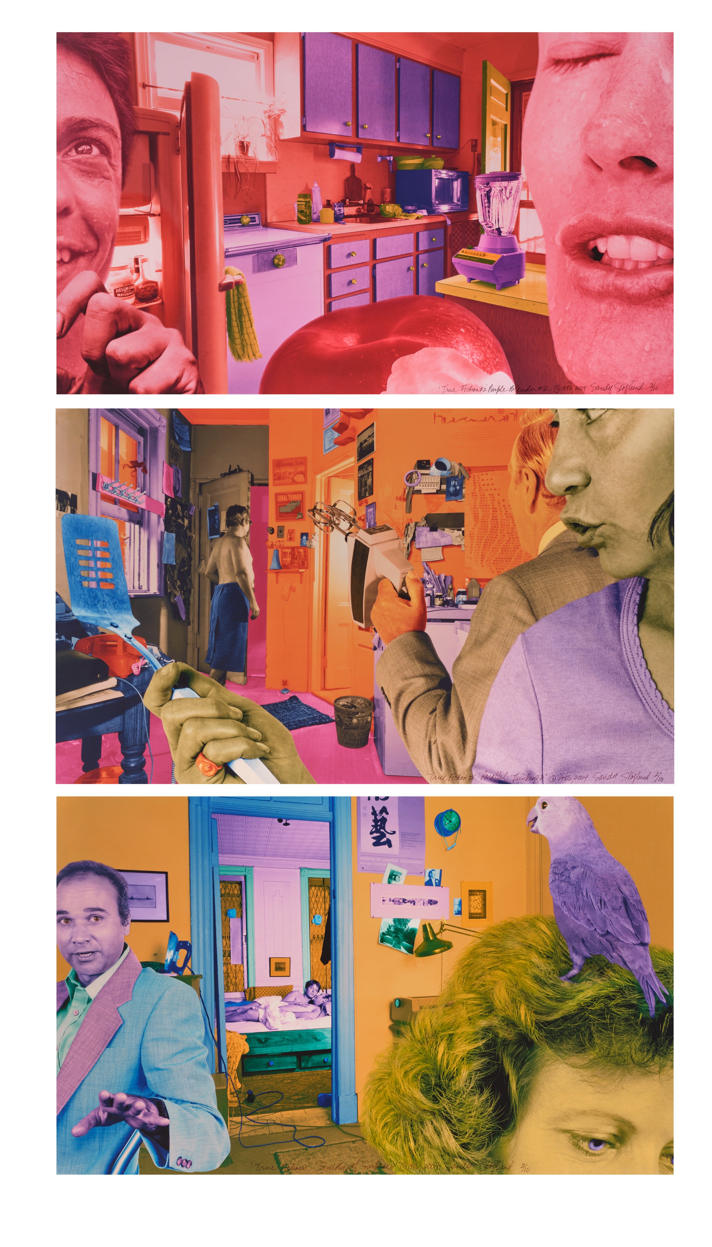 Selected Images from True Fiction Two