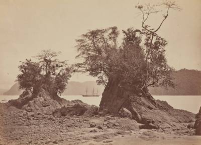 Tropical Scenery, Limon Bay, Low Tide