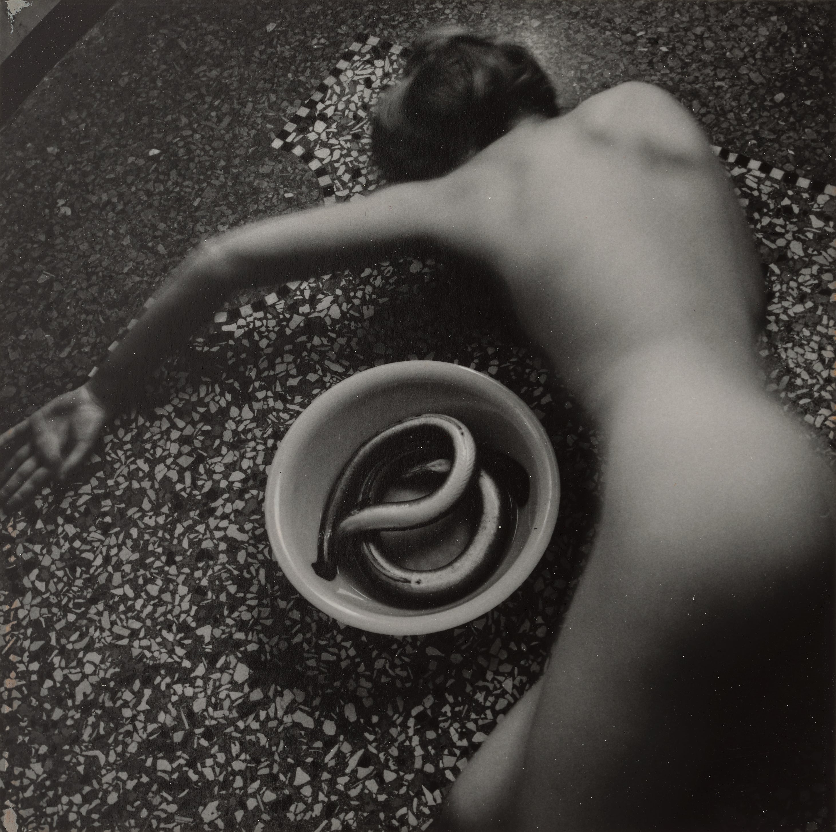 Francesca Woodman — From Eel Series, Rome