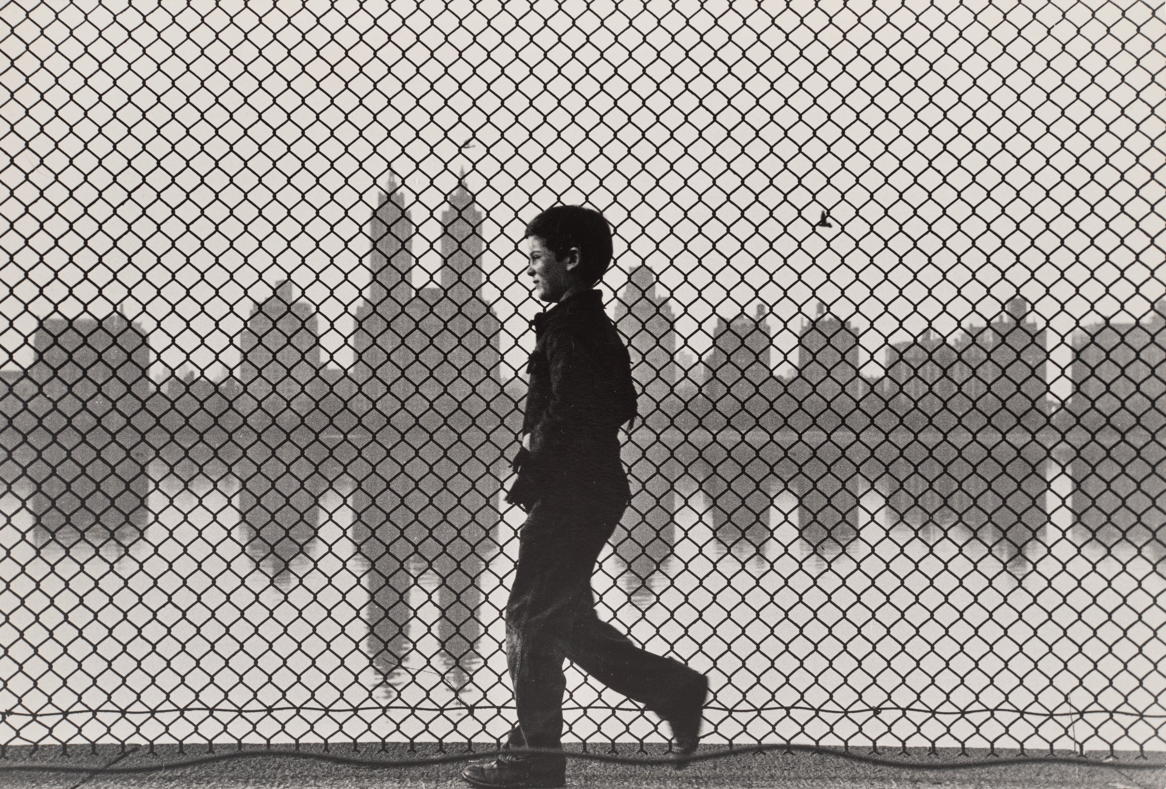 Ruth Orkin — Boy & Fence, Central Park Reservoir