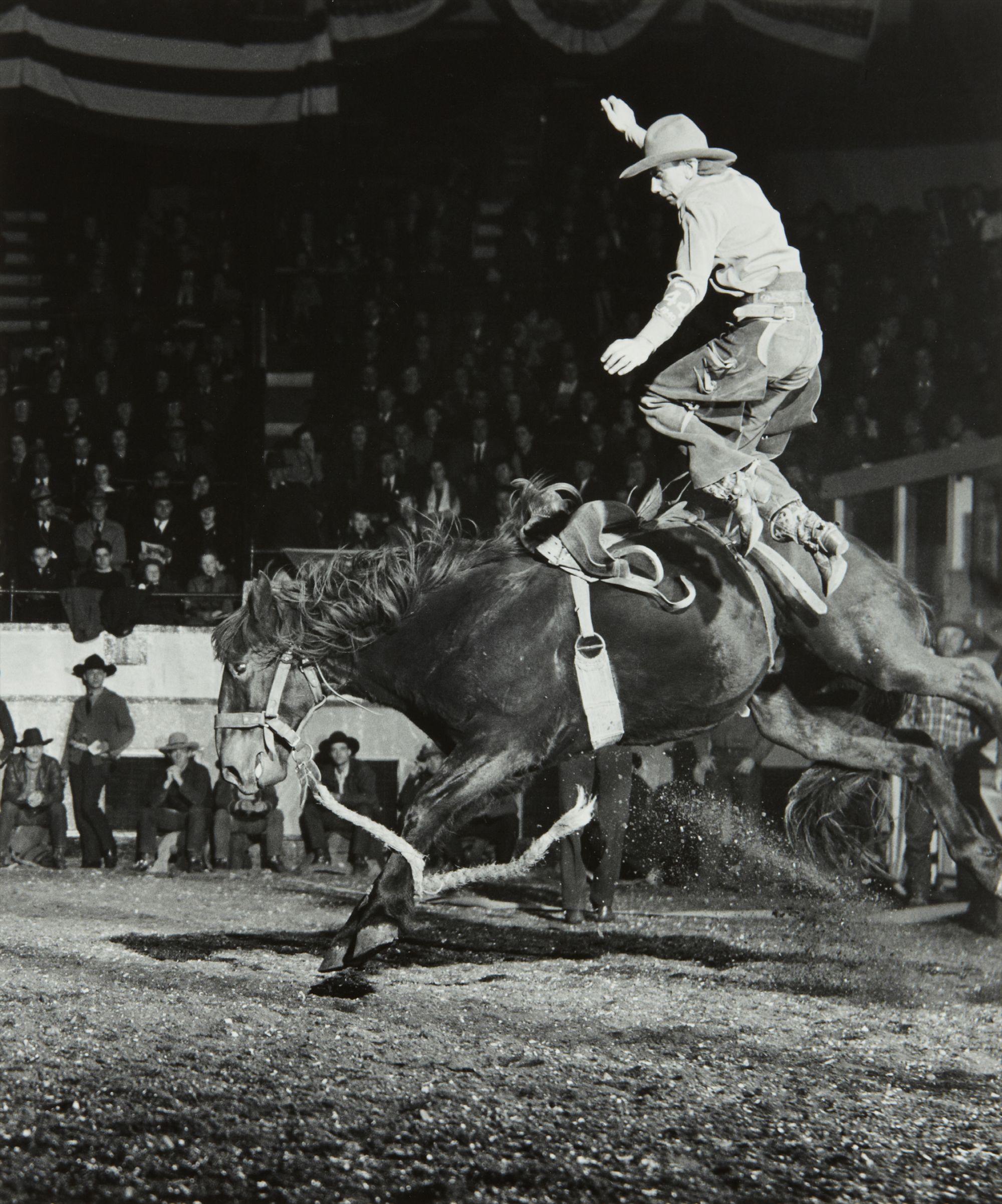 Harold Eugene Edgerton — "Home brew": Getting Off the Horse Quickly