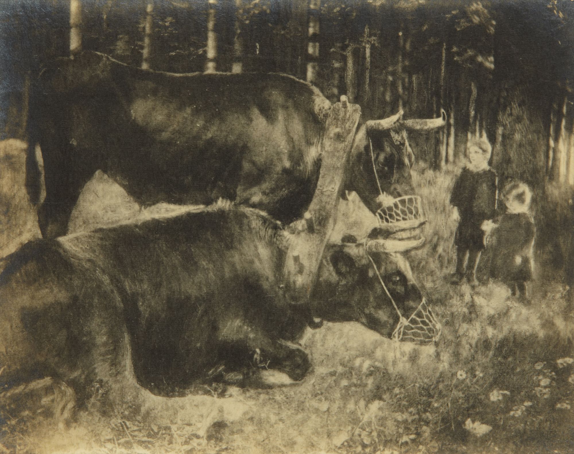 Yoked and Muzzled - Marriage